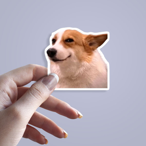 استیکر sus dog