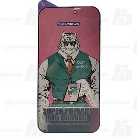 گلس پرایوسی ایفون Iphone 14
