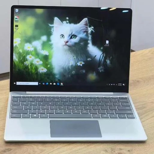 Surface Laptop Go/i5-10/8/256