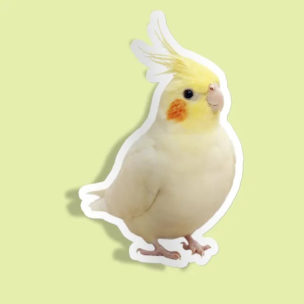 استیکر Cockatiel Looking over