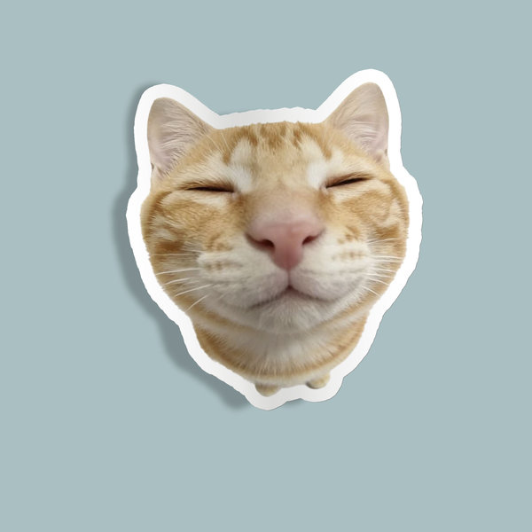 استیکر Cat about to be pet