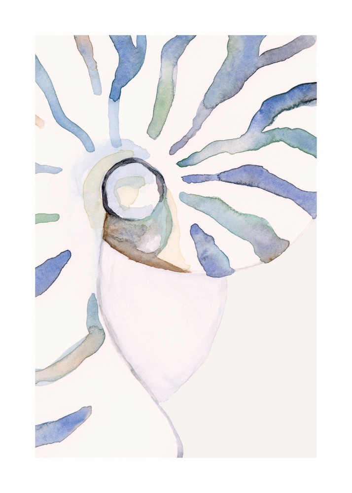 Abstract Seashell تابلو