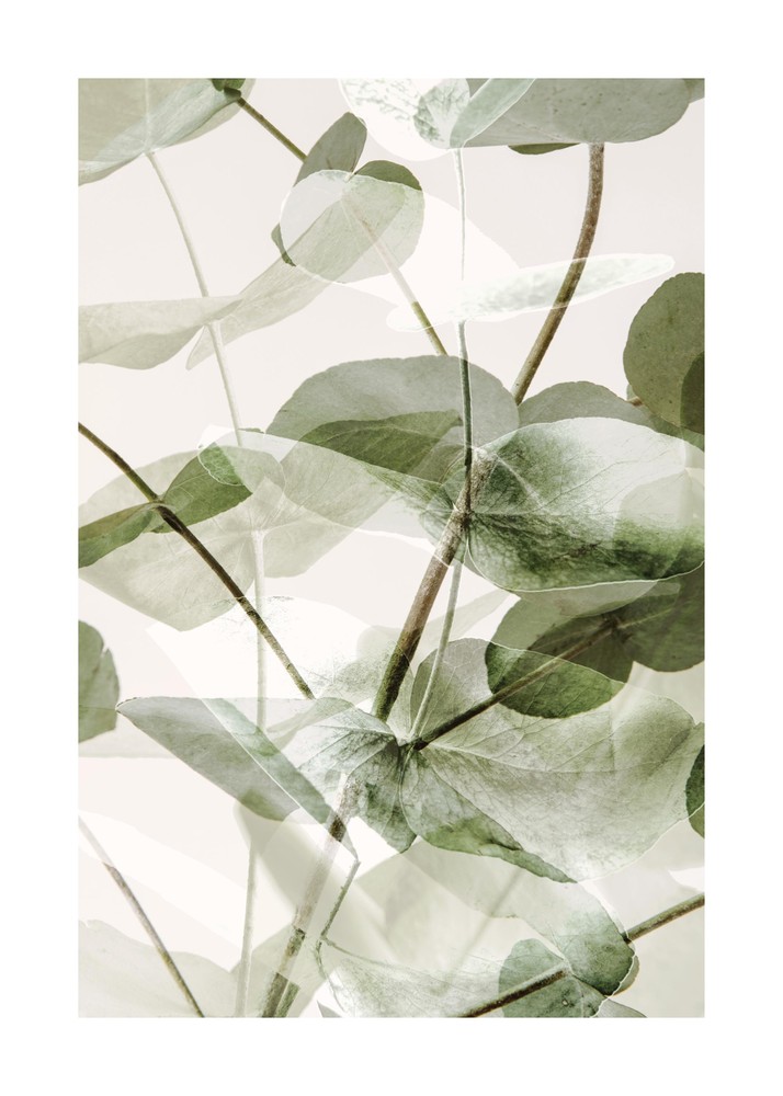 Eucalyptus Shades No1 تابلو