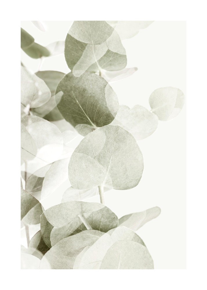 Abstract Eucalyptus No1 تابلو