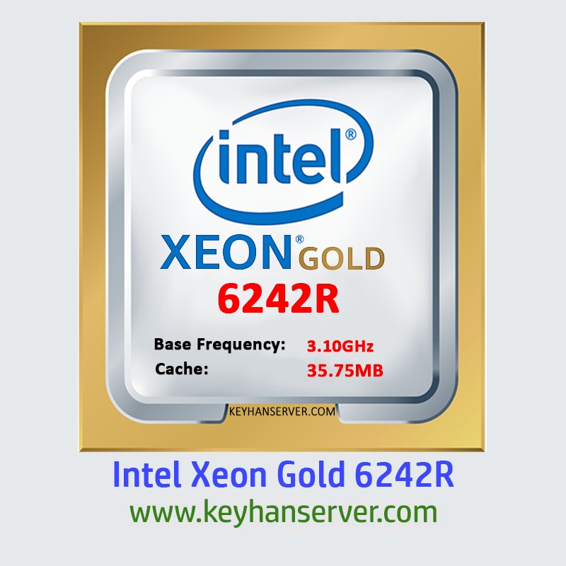سی پی یو سرور Intel Xeon Gold 6242R Processor