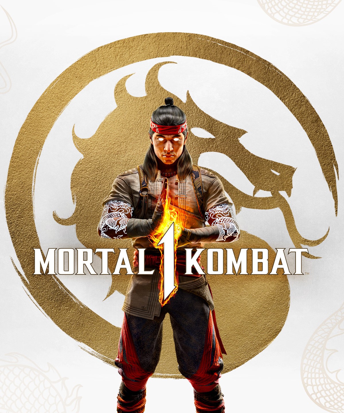 سی دی کی اشتراکی Mortal Kombat 1 Premium Edition