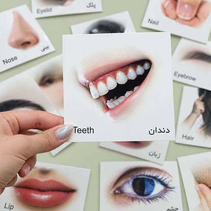 کارت پازل اعضای بدن (20 کارت)
