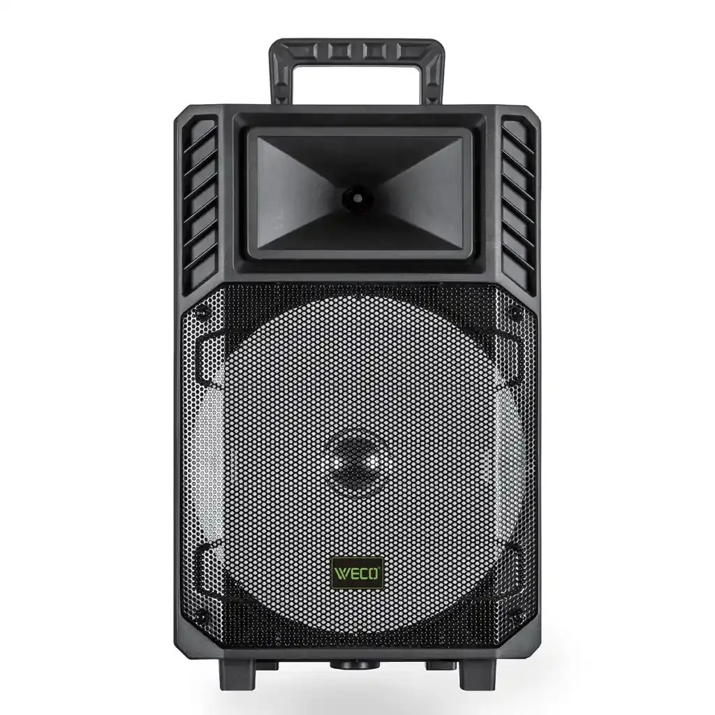 اسپیکر ویکو WeS-100 Singel 12 inch گارانتی 12 ماهه