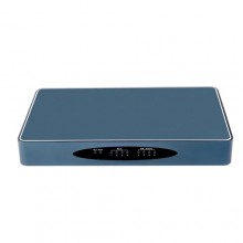 OpenVox SWG-M204G