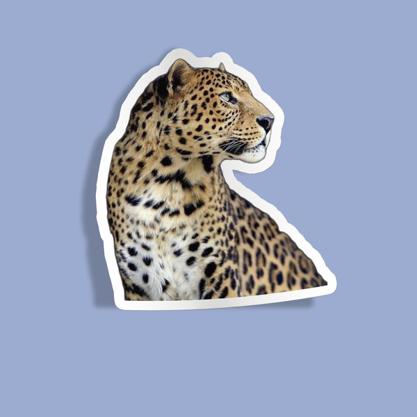 استیکر leopard Looking over
