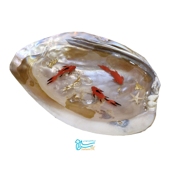 حوض ماهی صدف بزرگ