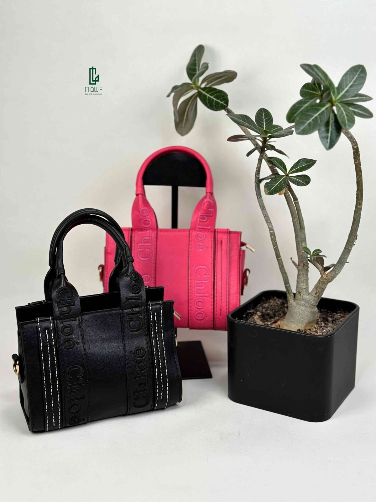 کیف دستی : Chloe11