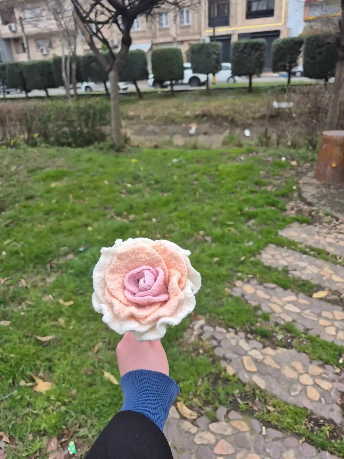گل بافتنی رز