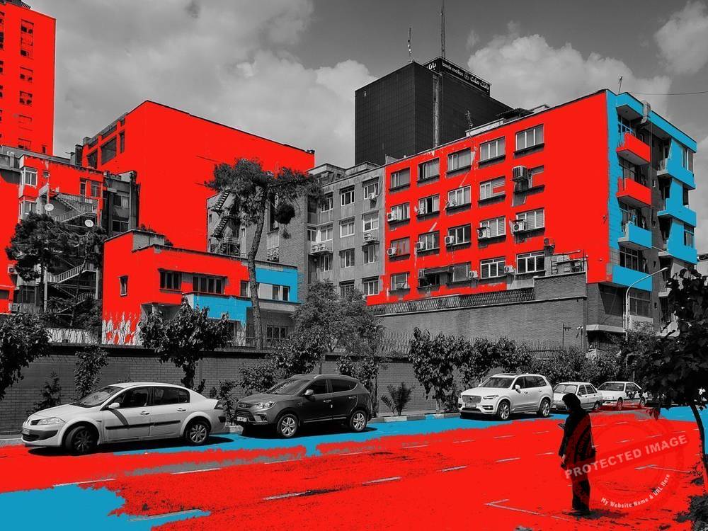 Anonyme 2 - Tenant de l'art iranien
