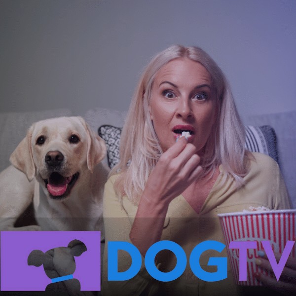 اکانت پرمیوم Dog Tv – فیلم و برنامه مخصوص سگ ها