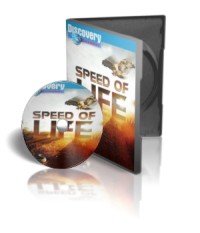 مستند حيات وحش سرعت زندگي speed of life