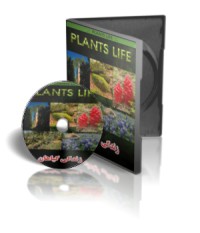 مستند زندگی گياهان plants life