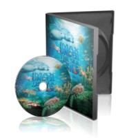 مستند زير دريا under the sea