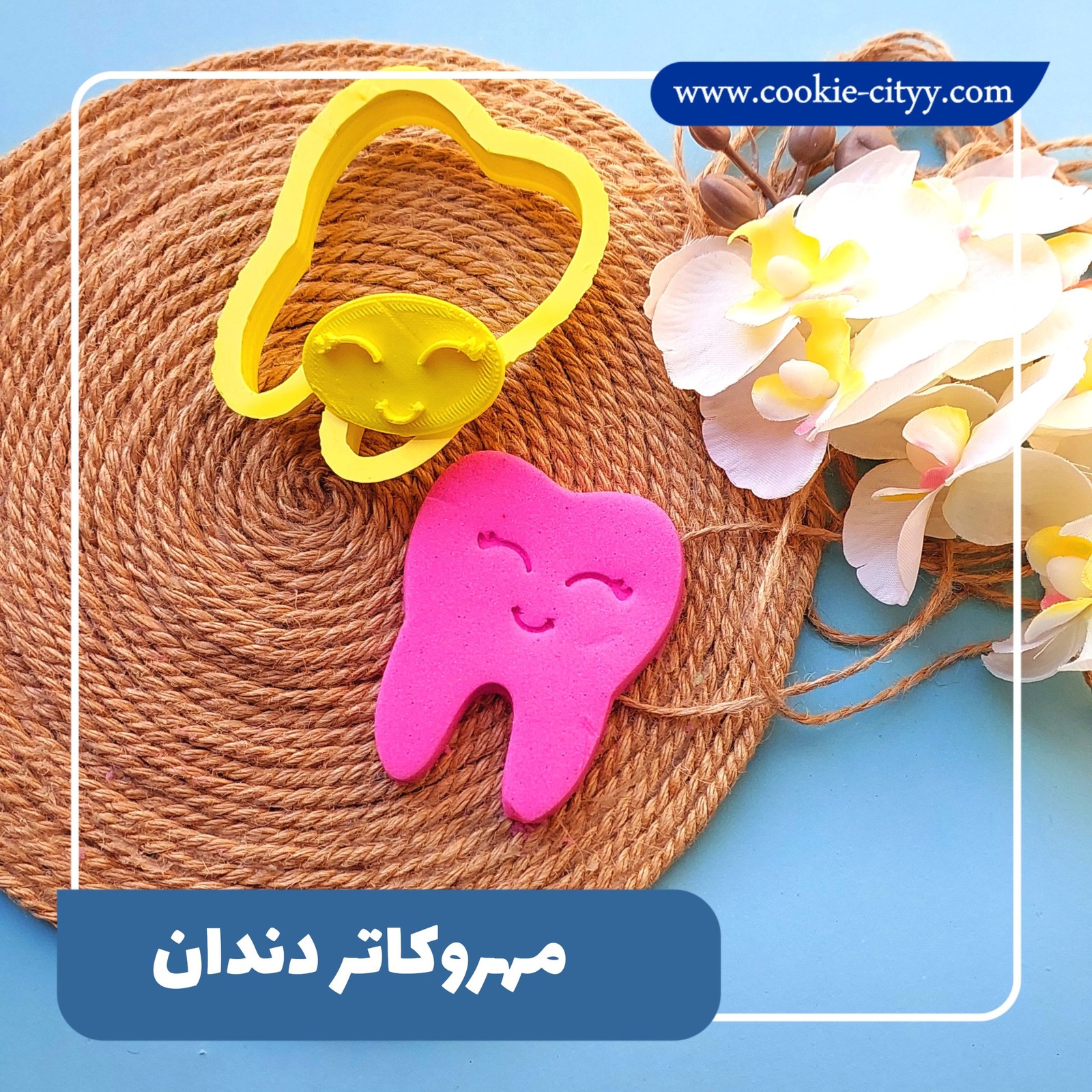 مهروکاتر دندان