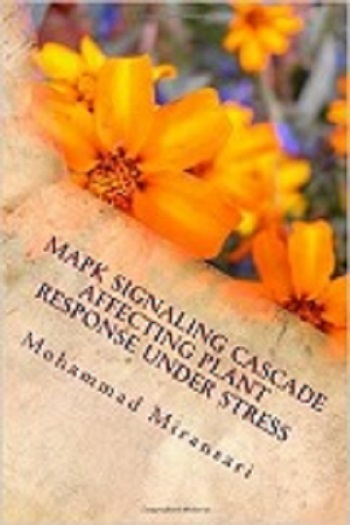 …ebook: MAPK
