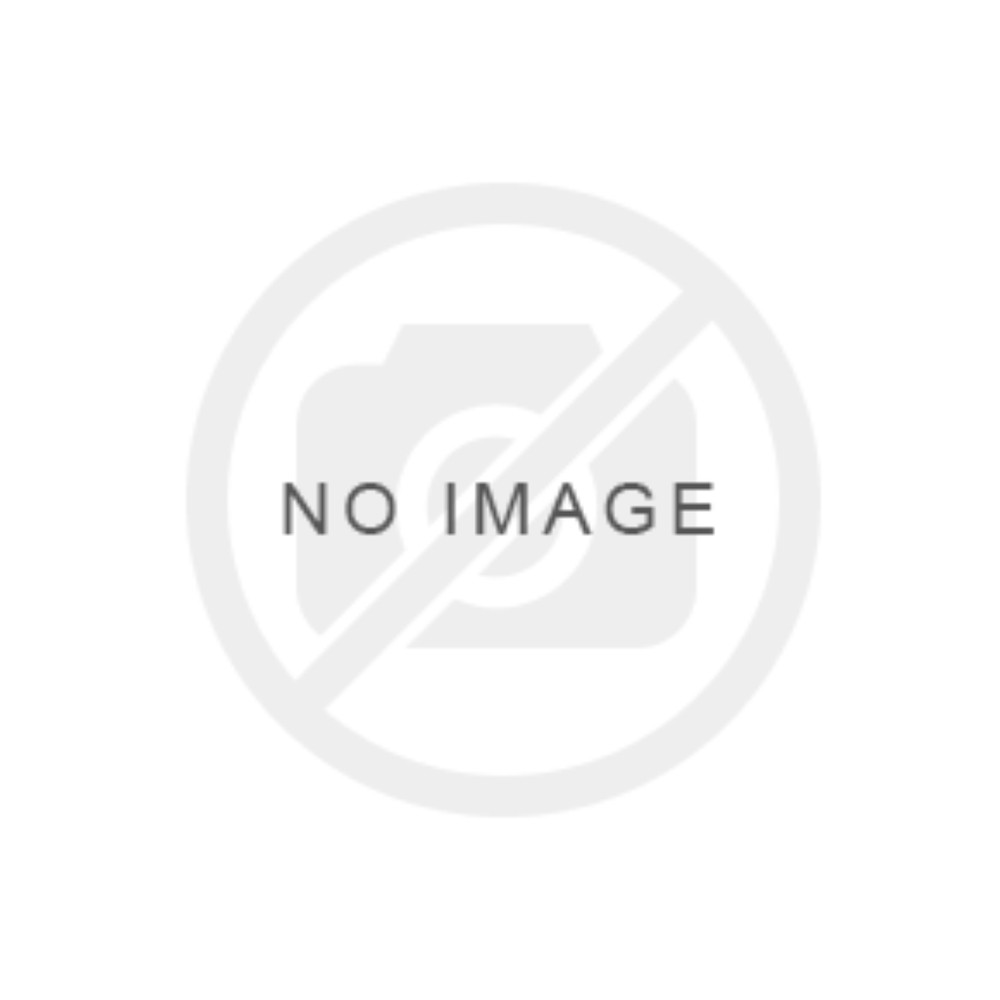 Wortschatz & Grammatic C1 (وزیری-شمیز)