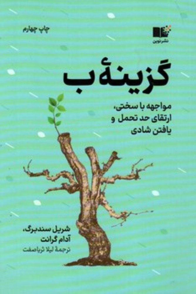 گزینه ب (رقعی-شمیز)