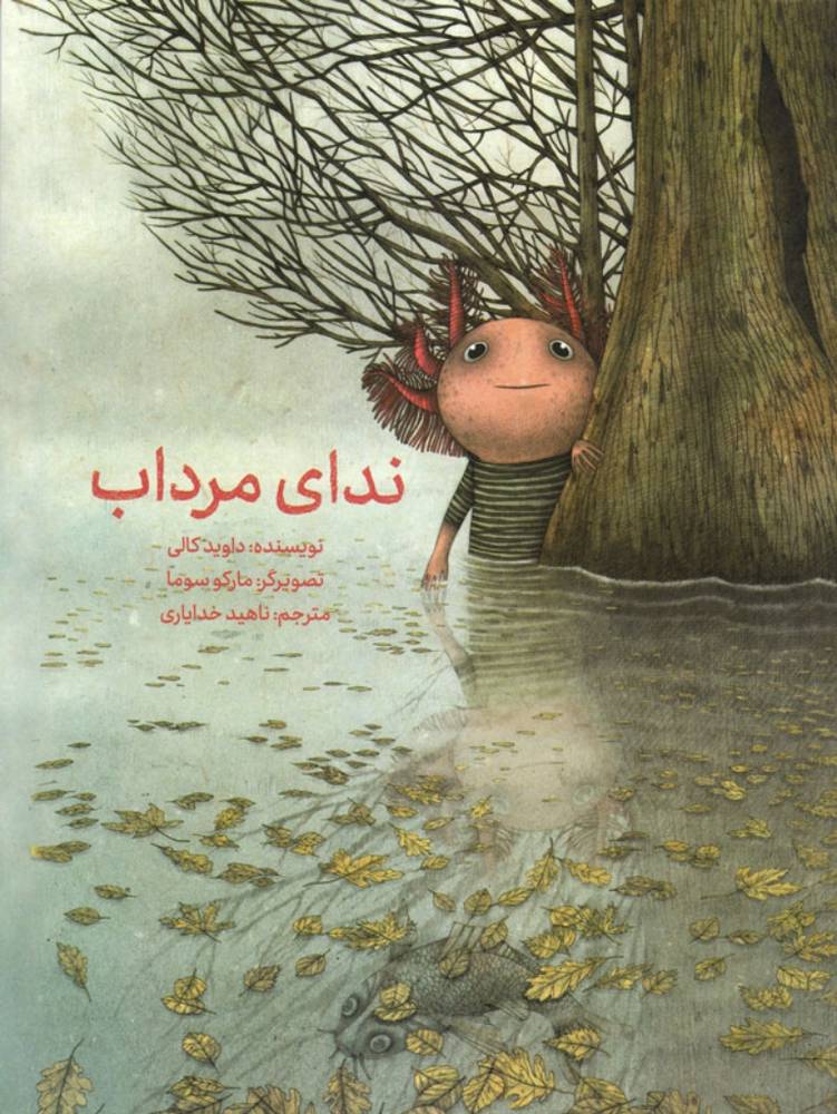 ندای مرداب (رحلی-شمیز)
