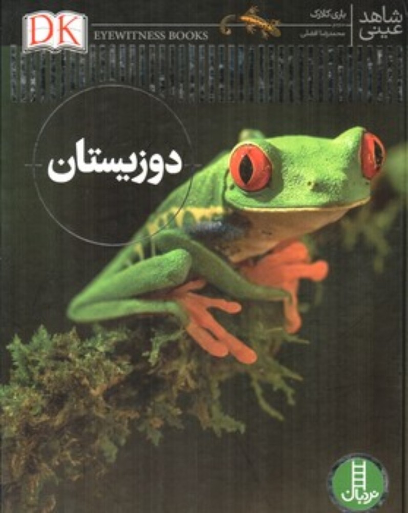 مجموعه ماجرا های نابغه عصر حجر - هندسه عصر حجری مکعب (رحلی-شمیز)