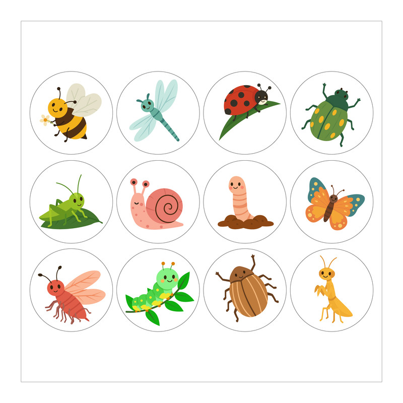 برچسب طرح دنیای حشرات مدل insect 1 بسته 12 عددی