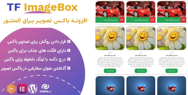 افزونه باکس تصویر برای المنتور | TF Image Box Addon For Elementor