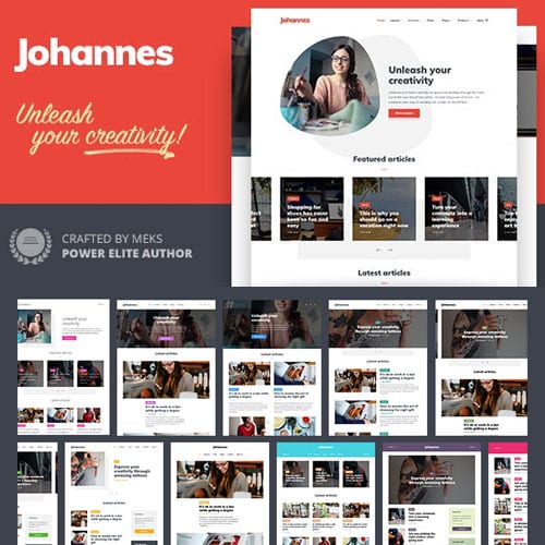 قالب بلاگ شخصی جوهانس برای نویسندگان و ناشرین | پوسته Johannes