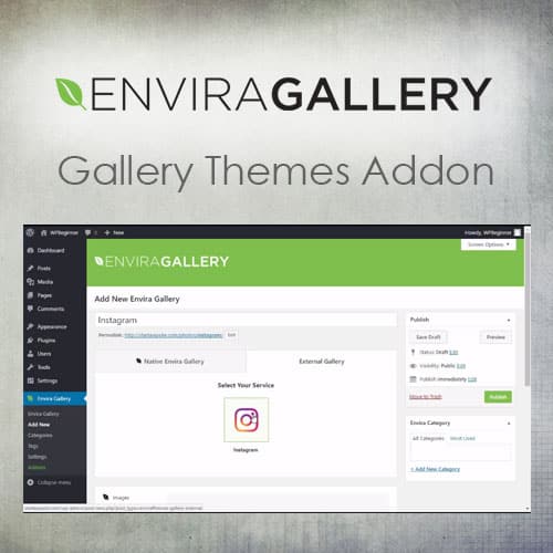 افزونه اینستاگرام انویرا گالری | Envira Gallery – Instagram Addon