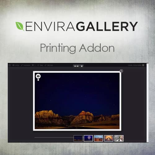 افزونه انویرا گالری پرینتینگ | Envira Gallery – Printing Addon