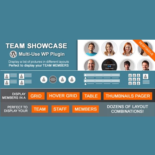 افزونه نمایش اعضا تیم و گروه وردپرس | Team Show Case
