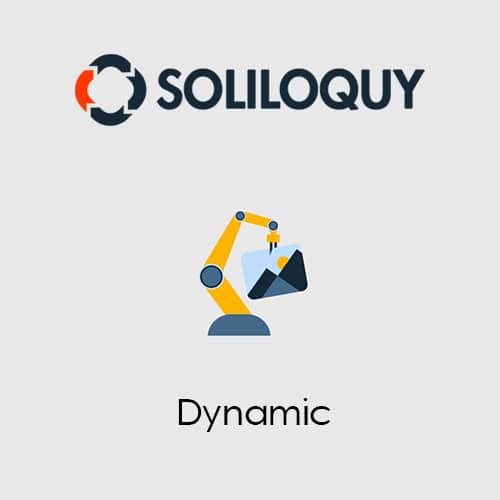 افزونه داینامیک | Soliloquy Dynamic Addon