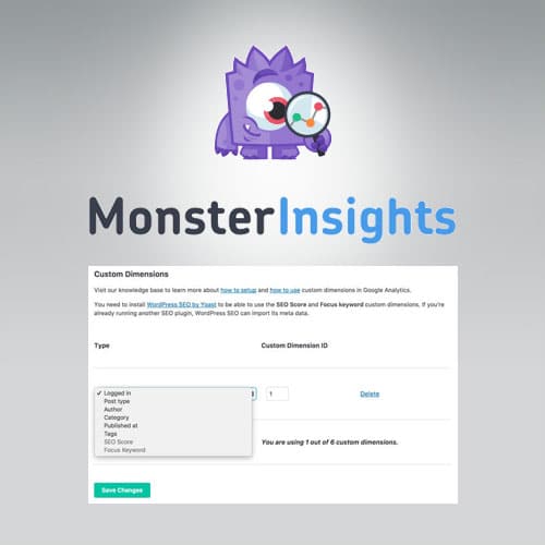 اسکریپت اندازه گذاری مشخص | MonsterInsights – Dimensions Addon