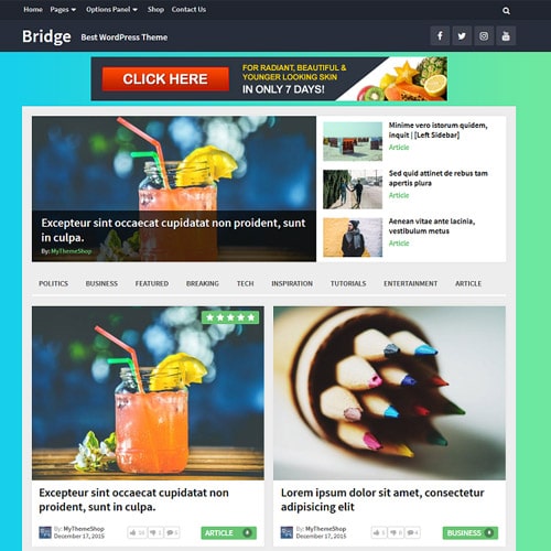 قالب وردپرس بریج | MyThemeShop Bridge