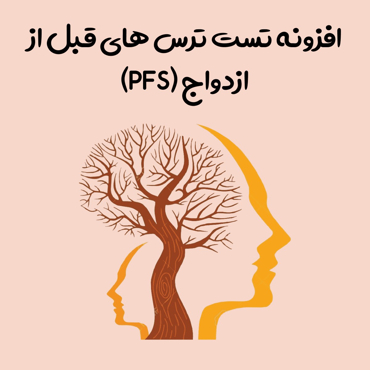 افزونه تست ترس های قبل از ازدواج (PFS)