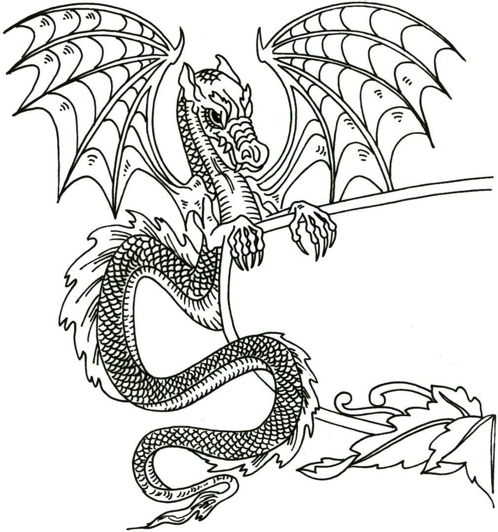 دانلود 59 طرح اژدها | Dragon Designs TIF