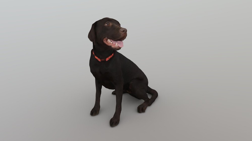 فایل سه‌بعدی no511-black-dog-sitting – no511-black-dog-sitting