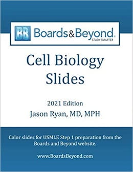 دانلود مجموعه ویدئویی بیولوژی سلولی Boards and Beyond 2021: Cell Biology + Slides