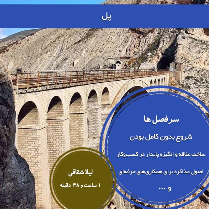 ویدئو پل