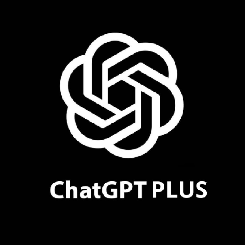ChatGPT Plus WS