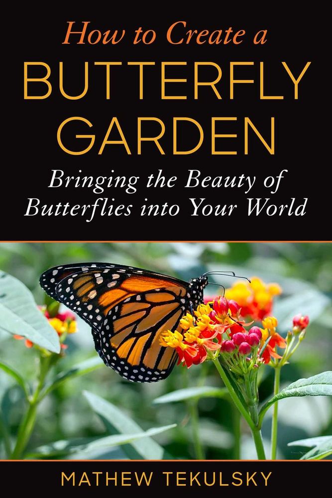چگونه باغ پروانه بسازیم: آوردن زیبایی پروانه ها به دنیای شما ۲۰۲۳ <br> How to Create a Butterfly Garden: Bringing the Beauty of Butterflies into Your World 2023 - کالیبو