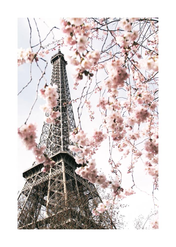Blooming Paris تابلو