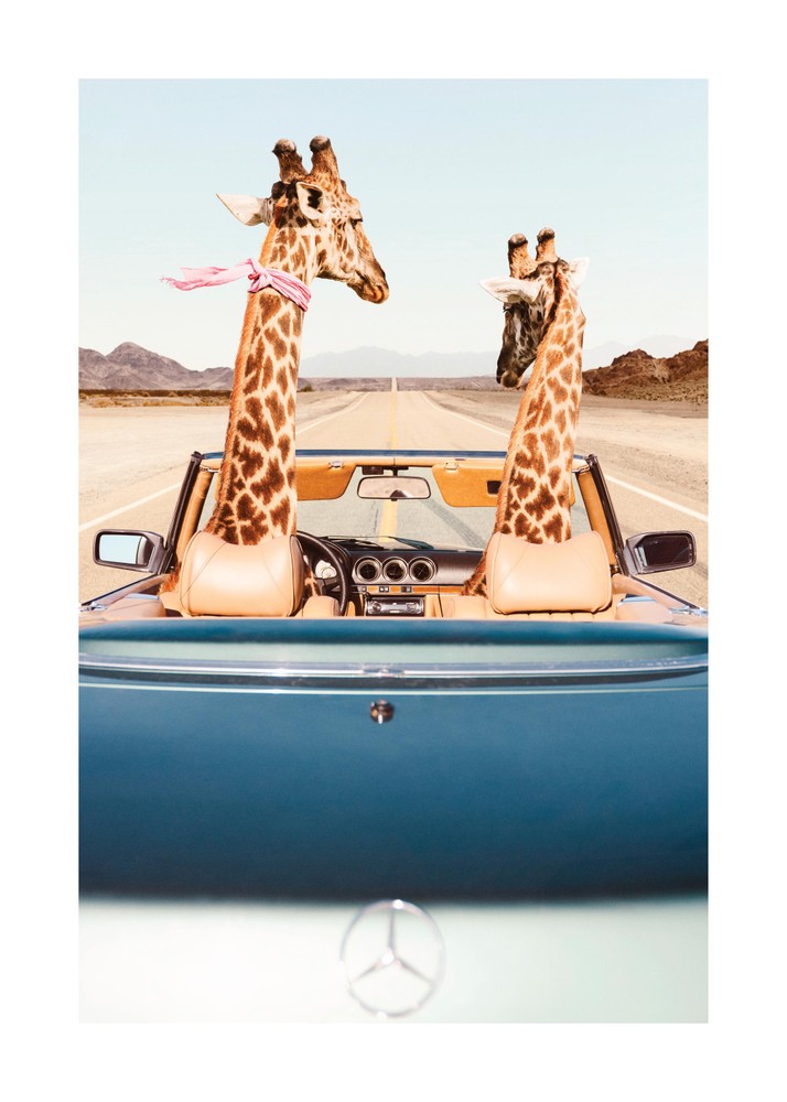 Giraffe Drive تابلو