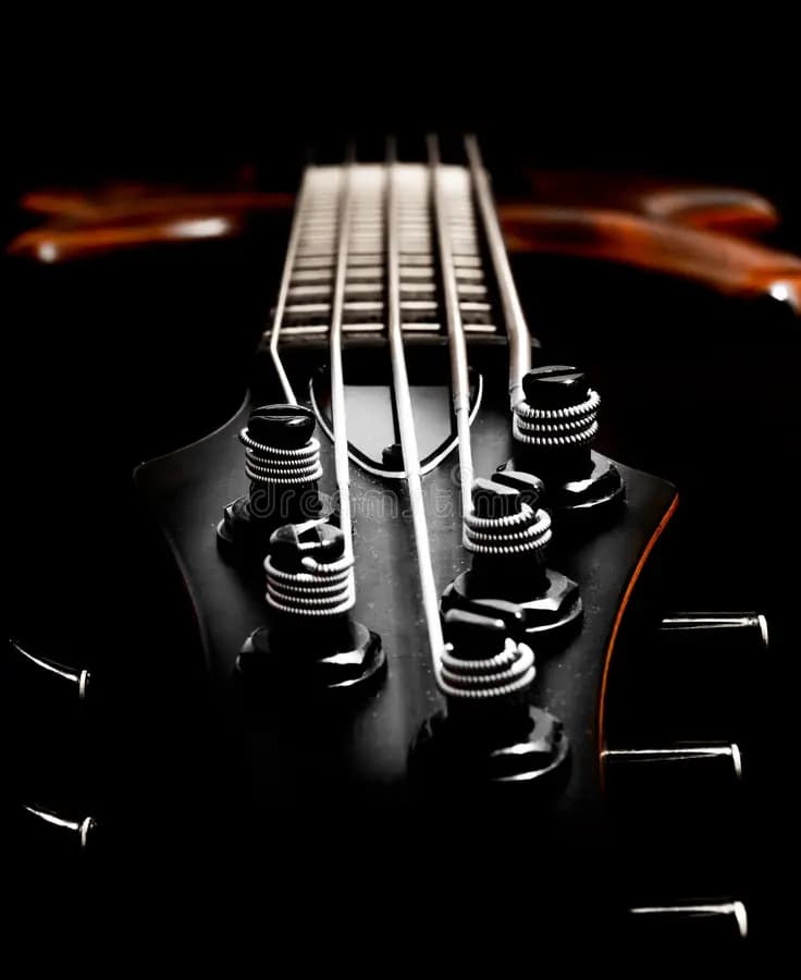 The professional Bass Masterclass