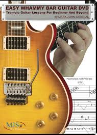 Easy Whammy Bar Guitar Tremolo Guitar Lessons For Beginner and Beyond
