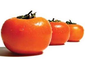 دانلود پاورپوینت گیاهشناسی خرمالو