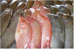 بررسی میزان جیوه در ماهیها